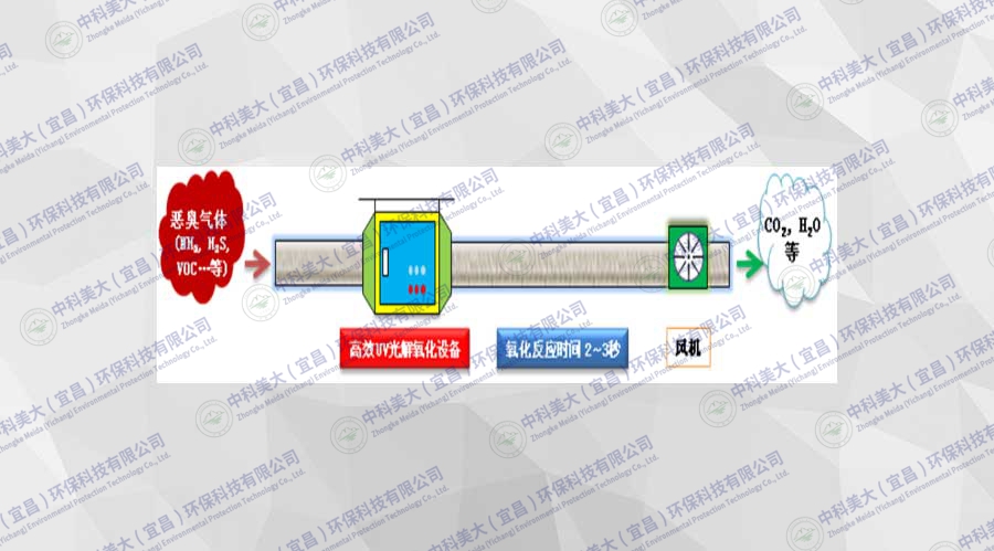 &#20113;&#39030;&#38598;&#22242;&#51;&#49;&#49;&#56;
