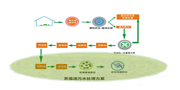 &#20113;&#39030;&#38598;&#22242;&#51;&#49;&#49;&#56;
