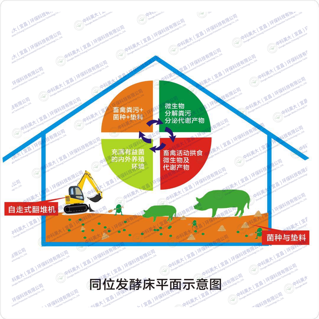 &#20113;&#39030;&#38598;&#22242;&#51;&#49;&#49;&#56;