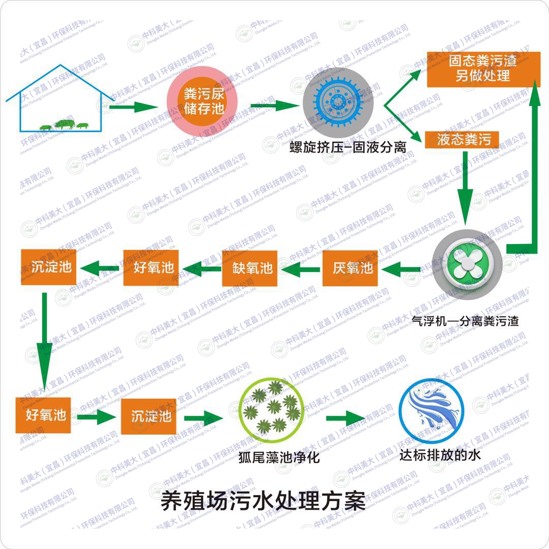 &#20113;&#39030;&#38598;&#22242;&#51;&#49;&#49;&#56;